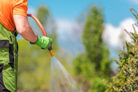 Caucasian Men Watering Garden Plants During Hot Summer Afternoon. Taking Care of the Garden.の写真素材