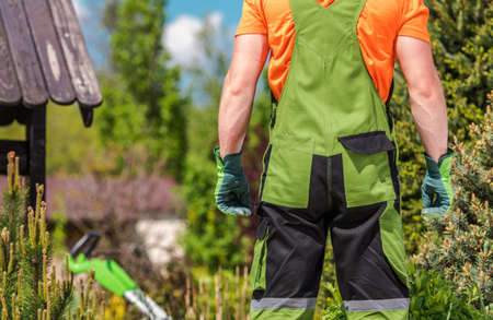Caucasian Gardener Staying Back to Camera in Front of His Garden.の写真素材