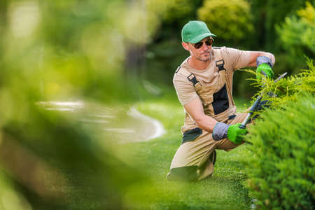 Caucasian Garden Worker in His 40s Trimming Decorative Garden Plants Using Professional Cutting...