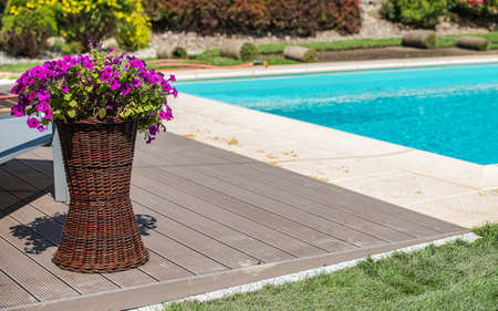 Flowers in a Pot and the Residential Outdoor Swimming Pool Deck in Backyard Garden. Outdoor Home...