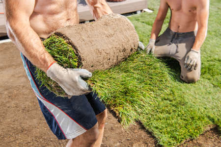 Two Caucasian Workers in Their 40s Installing Nature Grass Turfs in Residential Gardenの写真素材