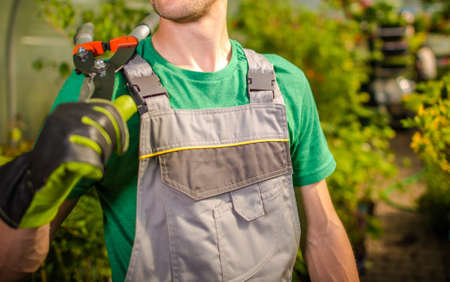 Caucasian Gardener in His 30s Keeping Large Scissors on His Shoulder. Greenhouse Interior. Gardening and Landscaping Industry Theme.の写真素材