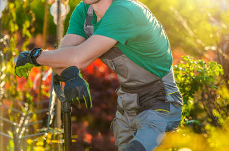 Caucasian Gardener in His 30s Wearing Safety Gloves in His Beautiful Backyard Garden. Gardening and Landscaping Industry. Summer Time.の写真素材
