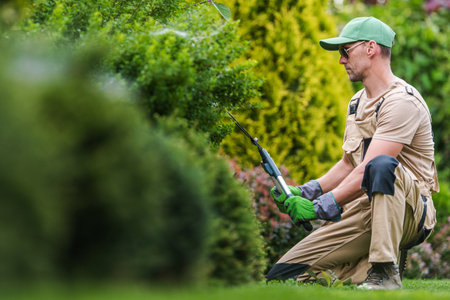Professional Caucasian Gardener in His 40s Performing Maintenance Inside Backyard Gardenの写真素材
