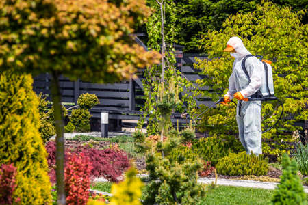 Fungicides of Backyard Garden Plants by Professional Garden Worker Wearing Protection Suit. Landscaping and Gardening Industry.の写真素材