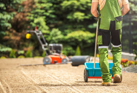 Grass Seeds Distribution Along Backyard Garden Using Manual Spreader. Gardening Theme.