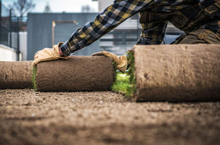 Rolls of Natural Grass Turfs Prepared For a Backyard Garden Installation. Landscaping and Gardening Technologies.の写真素材