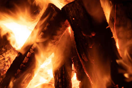 Camping Theme. Burning Campfire Logs Close Up