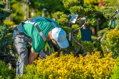 Caucasian Landscaping Worker Choosing Right Plants For His Current Residential Garden Project....