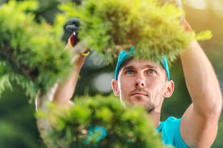 Professional Caucasian Gardener Pruning Plants for Good Health. Trimming Dead Parts of a Plant. Gardening Industry.の写真素材