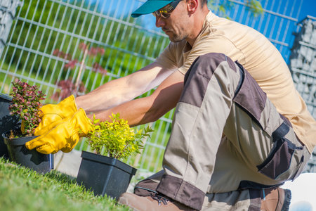 Male Caucasian Gardener Checking the Condition of Flowers and Plants Before Planting Them in the...