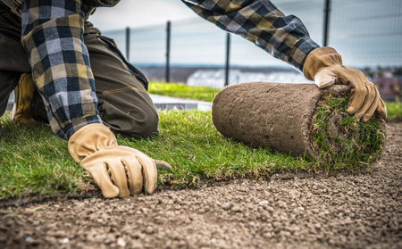 Landscaping Worker Installing New Natural Grass Turfs From a Roll. Close Up Photo. Building Residential Backyard Garden Lawn.の写真素材