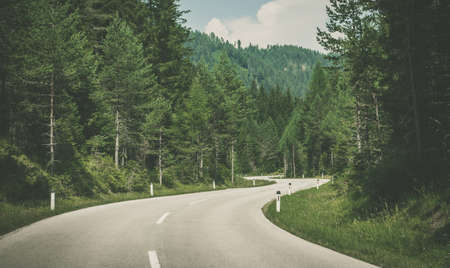 Scenic Winding Road in the Wilderness Forest. Journey and Road Trip Theme.