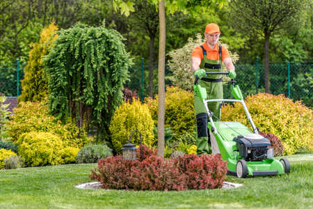 Caucasian Greenskeeper Trimming the Grass in His Clientâs Backyard Garden with Electric Lawn Mower. Beautifully Landscaped Plants in the Background. Garden Care and Maintenance Theme.の写真素材
