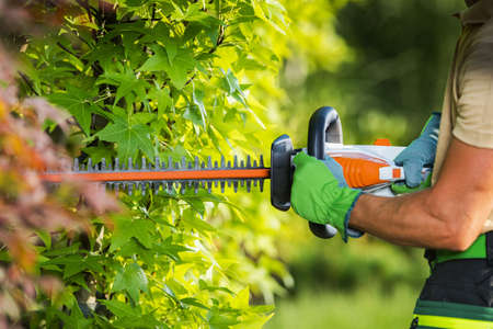 Caucasian Garden with Professional Hedge Trimmer in His Hands. Garden Maintenance Job. Trimming Decorative Tree Branches.の写真素材