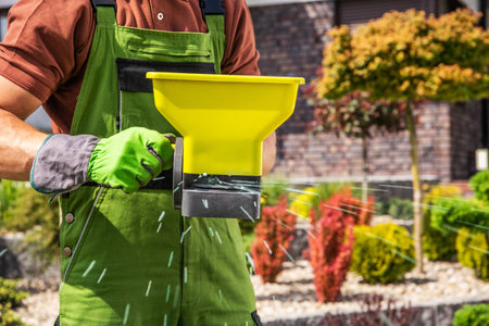 Closeup of Professional Gardener Spreading Granular Lawn Fertilizer Using Handheld Broadcast Spreader. Garden Care and Maintenance Theme.の写真素材
