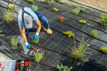 Top View of Gardening Professional Installing Drip Irrigation System in Freshly Landscaped Garden for Proper Water Supply.の写真素材