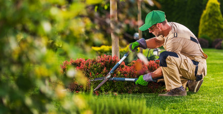 Caucasian Garden and Landscaping Services Contractor in His 40s with Hedge Shears Performing Spring Time Back Yard Maintenance.の写真素材