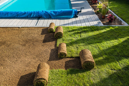 Residential Backyard Garden Poolside Natural Grass Turfs Reinstallation During Spring Timeの写真素材