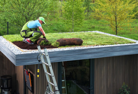 Professional Caucasian Gardener Building Sedum Green Roof on Top of a Modern Shedの写真素材