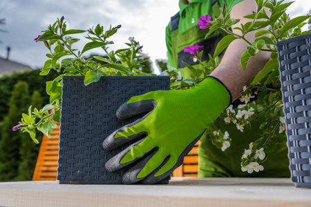 Closeup of Gardener's Hand in Protective Industrial Glove Moving Woven Plant Pot While Arranging Backyard Garden Design. Household Theme.の写真素材