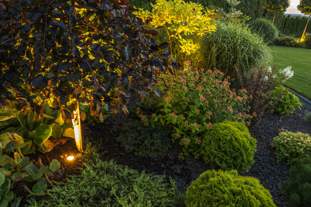 Elegant Colorful Backyard Garden Illuminated by a Modern LED Lighting System.