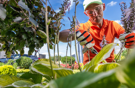 Professional Garden Worker Pruning Garden Plants. Gardening Industry Theme.の写真素材