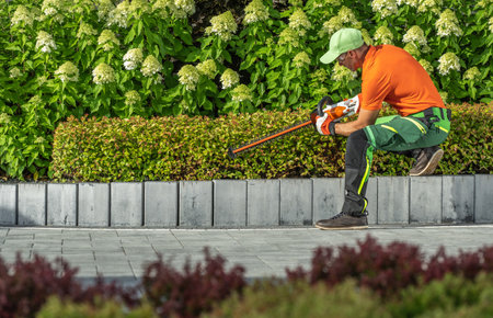 Caucasian Gardener in His 40s Shaping Shrubs with Cordless Electric Hedge Trimmer