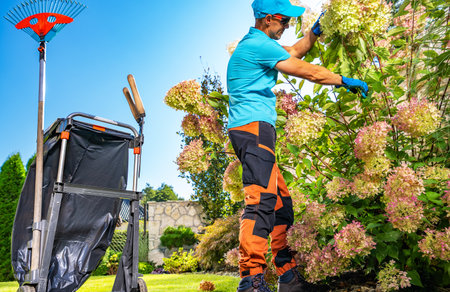 Caucasian Gardner in His 40s. Backyard Garden Seasonal Maintenance