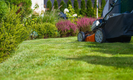 Lawn Mower and the Beautiful Matured Garden. Gardening Equipment Theme.の写真素材