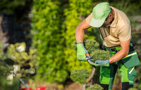 Professional Garden Worker Trimming Garden Plants Using Secateurs. Gardening Industry Theme.の写真素材