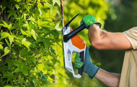 Landscaping Worker Shaping Garden Trees Using Hedge Trimmer Close Upの写真素材