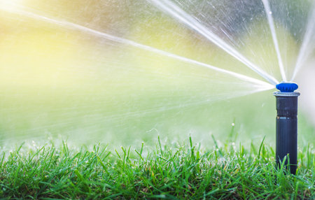 A lawn sprinkler sprays water over fresh green grass under the warm sunlight, creating a refreshing atmosphere. The droplets glisten as they catch the light, enhancing the vibrant colors of the landscape.の写真素材