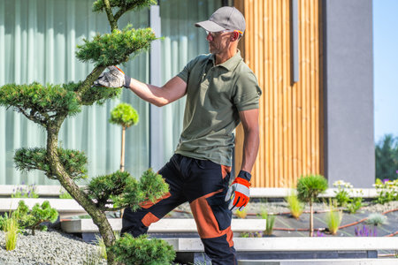 A gardener prunes a neatly shaped tree in a modern outdoor space, where sleek architecture meets...