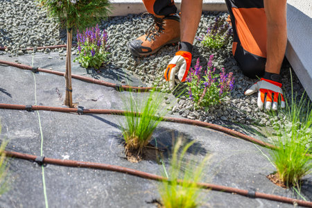 A gardener works meticulously in a gravel landscape, carefully placing small plants around a drip...