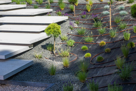 Elevated concrete steps lead through a contemporary garden featuring varied plants and efficient drip irrigation.の写真素材