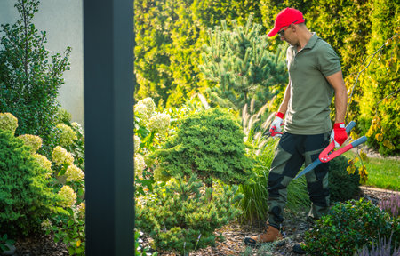 A gardener, wearing gloves and a cap, focuses on trimming bushes in a vibrant garden filled with various plants under bright sunlight.の写真素材