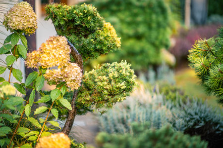 A beautifully landscaped garden features uniquely trimmed shrubs and blooming flowers, creating a...