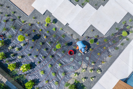 A gardener carefully lays out an irrigation system while working on a meticulously designed garden featuring various plants and surfaces under bright sunlight.の写真素材