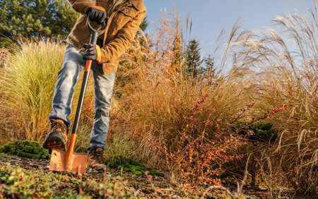A gardener works diligently with a shovel to prepare the soil for planting in an autumn garden. Surrounding tall grass and colorful foliage create a rich, natural background under clear skies.の写真素材