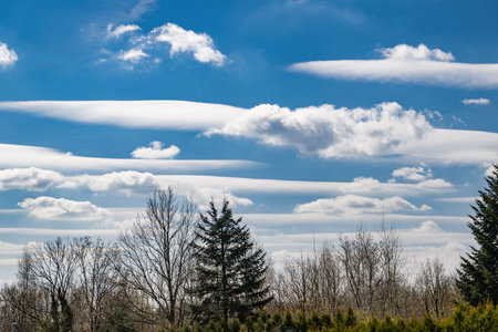 Fluffy white clouds stretch in parallel formations across a vibrant blue sky, creating an enchanting contrast with the silhouettes of trees below. This serene view captures the beauty of nature on a bright day.の写真素材