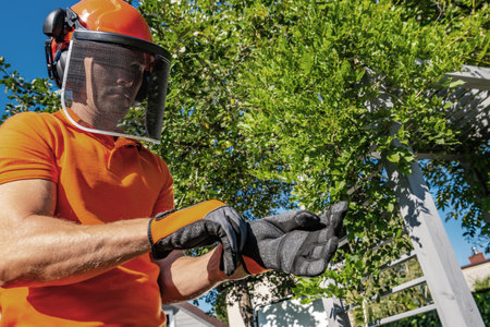 A worker in an orange shirt and safety gear is putting on gloves before trimming trees in a well-maintained suburban backyard on a sunny day. Green foliage surrounds the area, highlighting the active outdoor setting.の写真素材