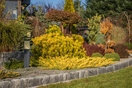 This vibrant garden showcases an array of plants in varying shades of green, yellow, and red. Neatly arranged shrubs complement the stone borders, creating a serene outdoor space during sunny weather.の写真素材
