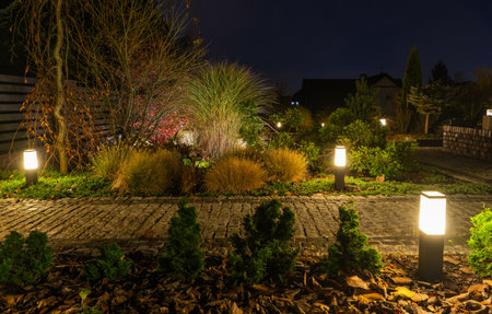 A tranquil garden comes alive at night with glowing lights illuminating the path and surrounding plants. Lush greenery, shrubs, and decorative stones create a serene atmosphere under the dark sky.の写真素材