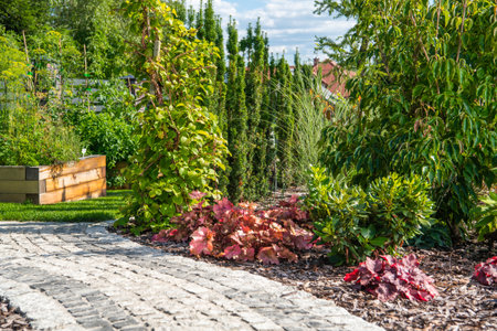 A winding stone path leads through a lush garden filled with colorful foliage and vibrant green plants. The scene is illuminated by bright sunlight, showing nature's beauty.の写真素材