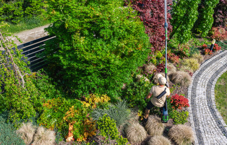 A gardener uses a long tool to trim lush foliage in a colorful garden filled with various plants....