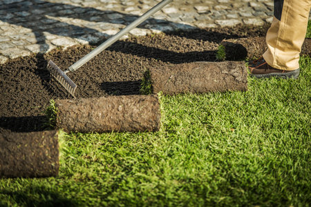 A person is laying down fresh sod in a garden, carefully arranging rolls of grass on a prepared soil...