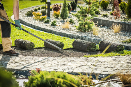 A gardener uses a rake to level soil while laying rolled sod in a vibrant garden. Sunlight enhances...