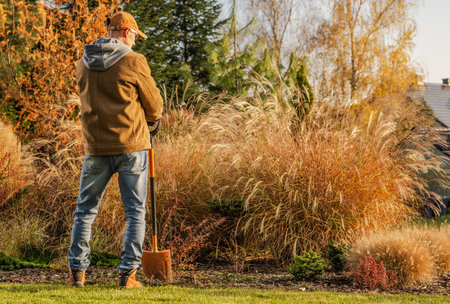 A gardener works in the autumn landscape, using a shovel to prepare the soil surrounded by colorful grasses and plants under warm sunlight.の写真素材