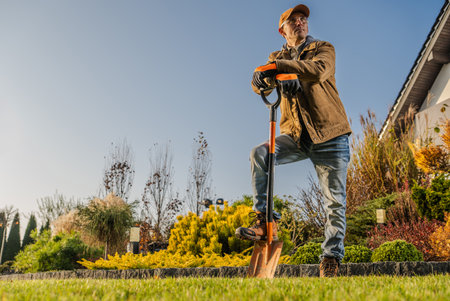 A man stands in a lush garden, one foot on a shovel, preparing to dig. The sun shines brightly as colorful plants surround him in this peaceful setting.の写真素材